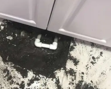 普安查漏水哪家好